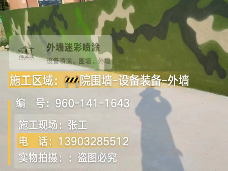 万宁 迷彩漆喷涂价格（按平方米计费）