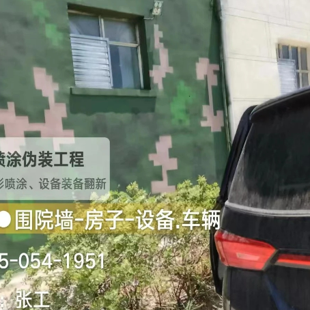 万宁数码迷彩漆施工